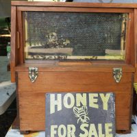 Honeybee Festival 2021_019