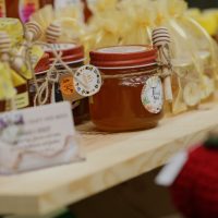 Honeybee25_014